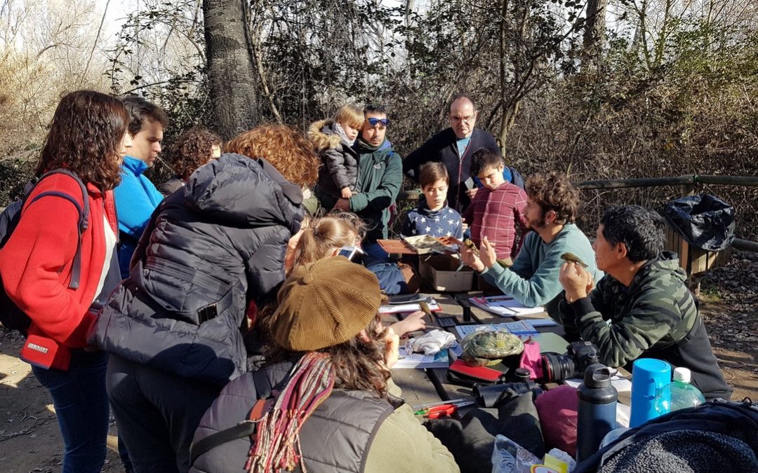 Anellament de 58 ocells de 13 espècies diferents aquest matí a la Mitjana